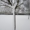 la grande nevicata del febbraio 2012 156